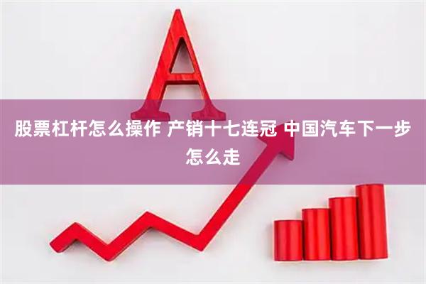 股票杠杆怎么操作 产销十七连冠 中国汽车下一步怎么走