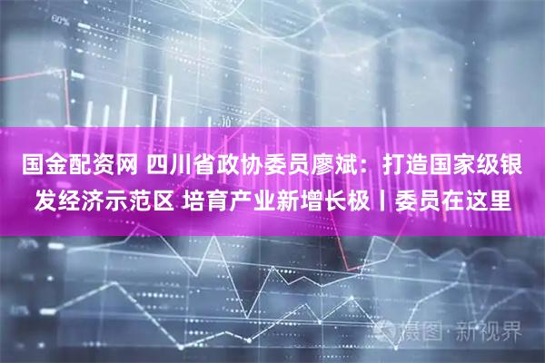 国金配资网 四川省政协委员廖斌：打造国家级银发经济示范区 培育产业新增长极丨委员在这里