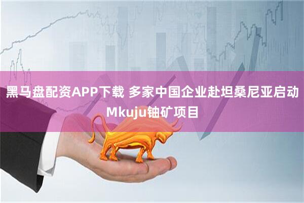 黑马盘配资APP下载 多家中国企业赴坦桑尼亚启动Mkuju铀矿项目