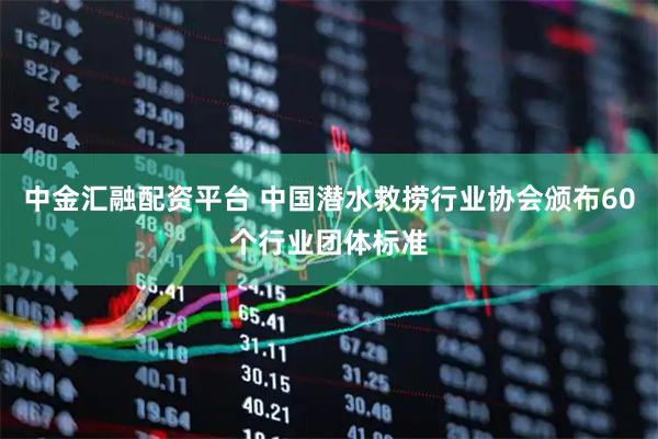 中金汇融配资平台 中国潜水救捞行业协会颁布60个行业团体标准