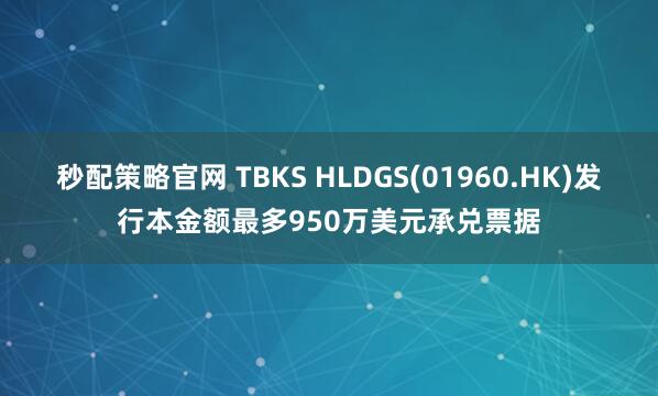 秒配策略官网 TBKS HLDGS(01960.HK)发行本金额最多950万美元承兑票据
