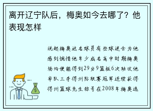 离开辽宁队后，梅奥如今去哪了？他表现怎样